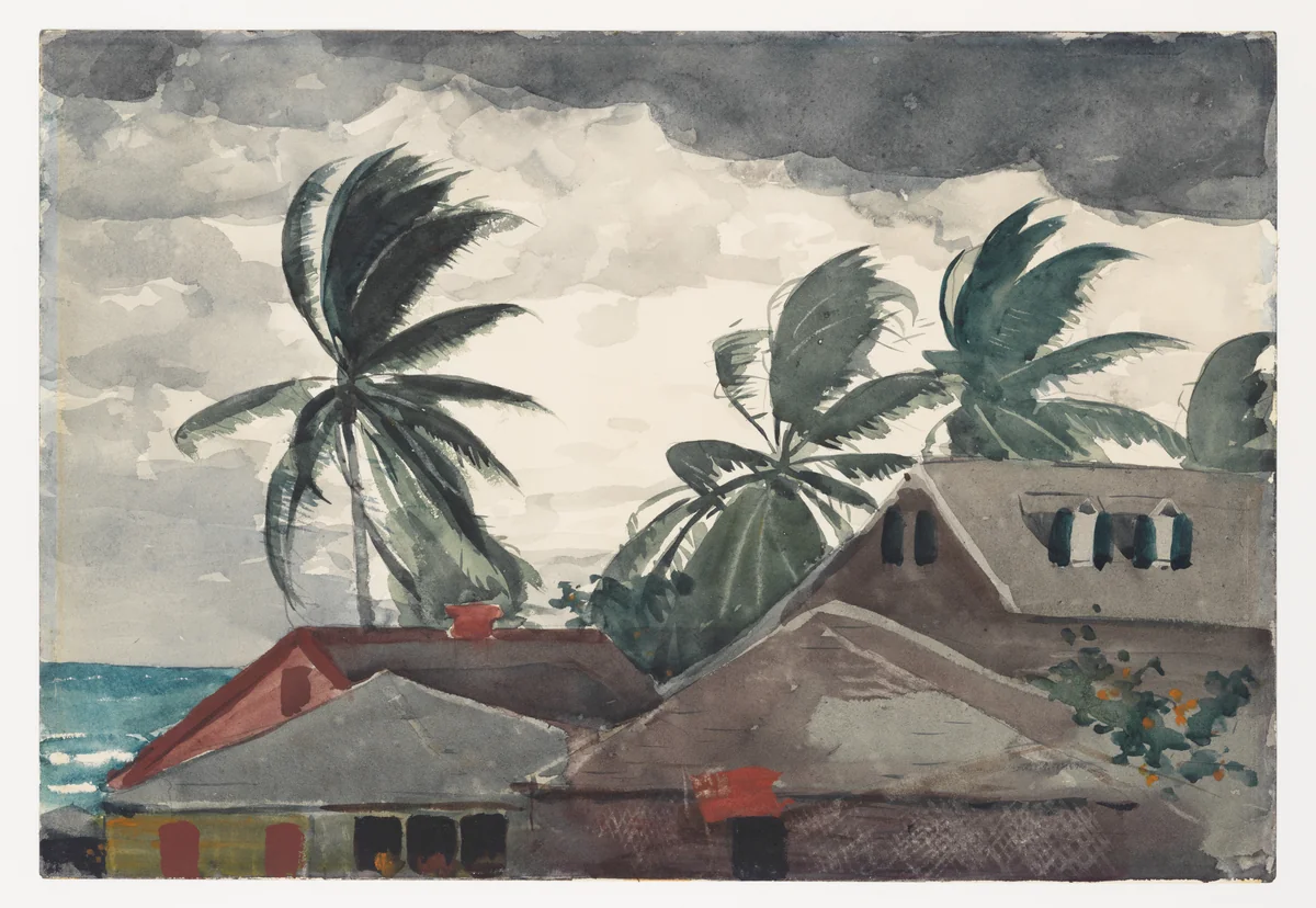 Hurricane, Bahamas by Winslow Homer, artwork, 1898