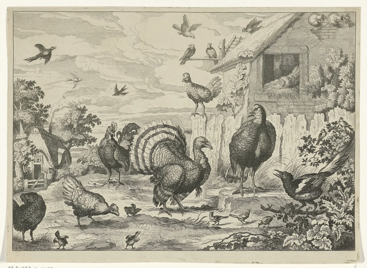 Verschillend gevogelte en een kalkoen by Jan Griffier, print, 1655-1718