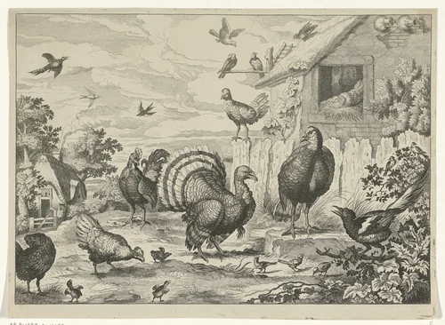 Verschillend gevogelte en een kalkoen by Jan Griffier, print, 1655-1718