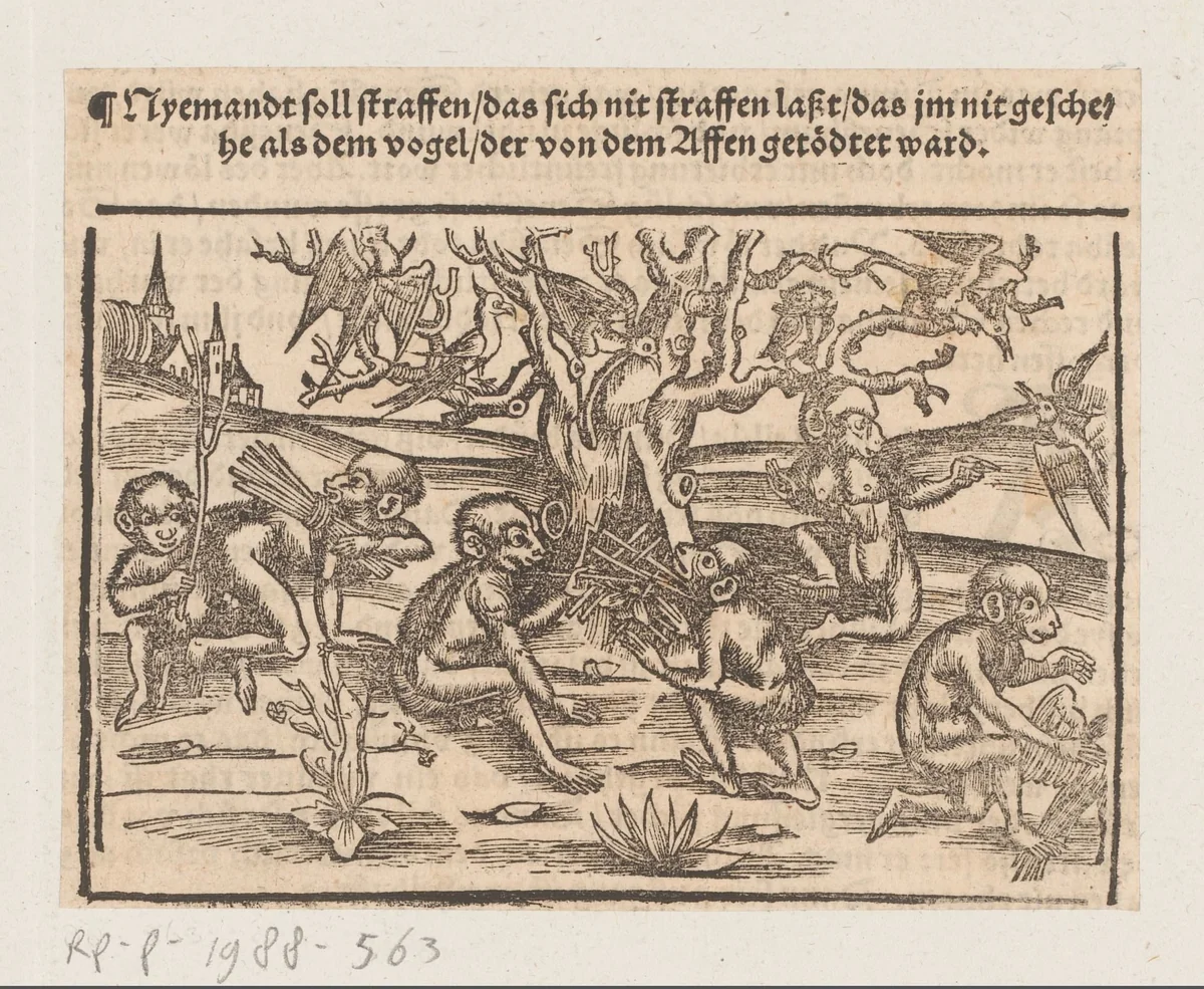 Apen vangen vogels en roosteren die in een boom by anonymous, print, 1539