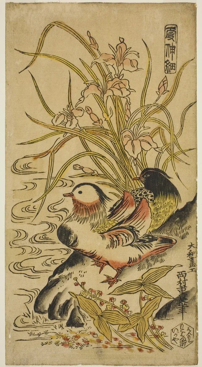 Mandarin Ducks, from the series "Kashinsai" by Nishimura Shigenaga, print, 1720-1732
