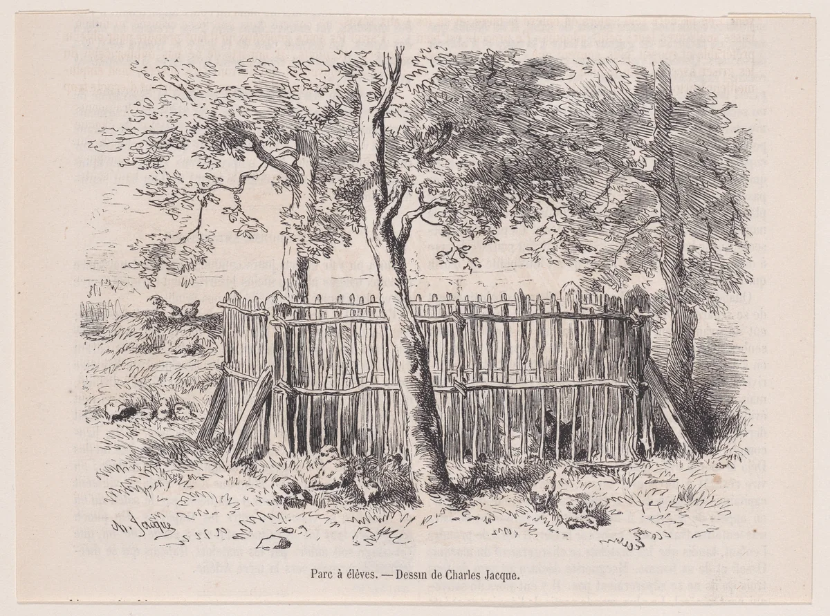 Parc à élèves, from "Le Magasin Pittoresque" by Charles Jacque, print, 1848-1864