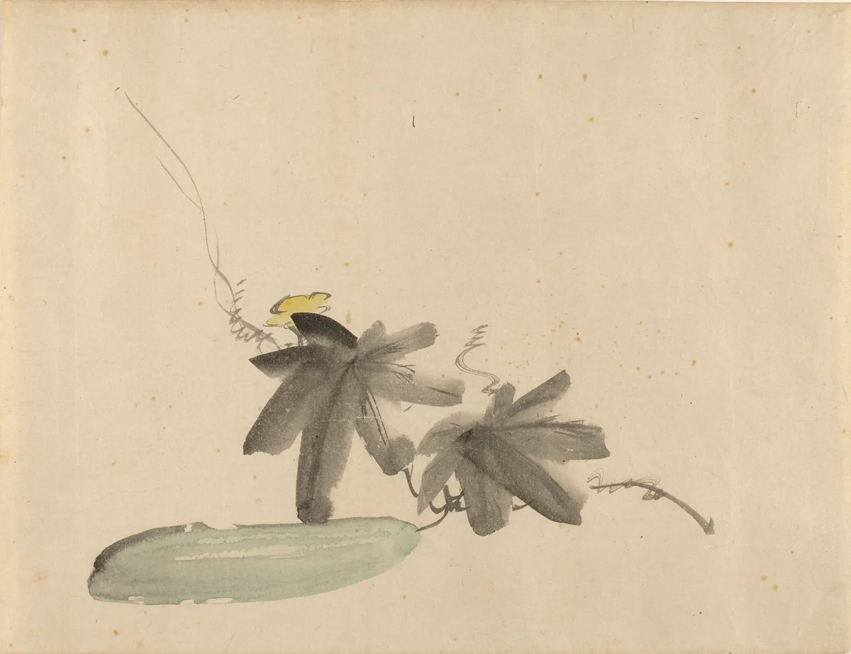 Cucumber with Leaves by Edouard Manet, drawing, 1880