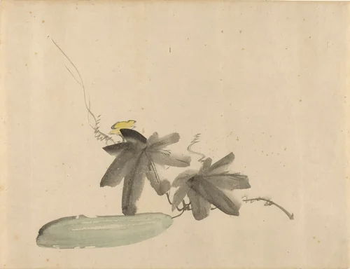 Cucumber with Leaves by Edouard Manet, drawing, 1880