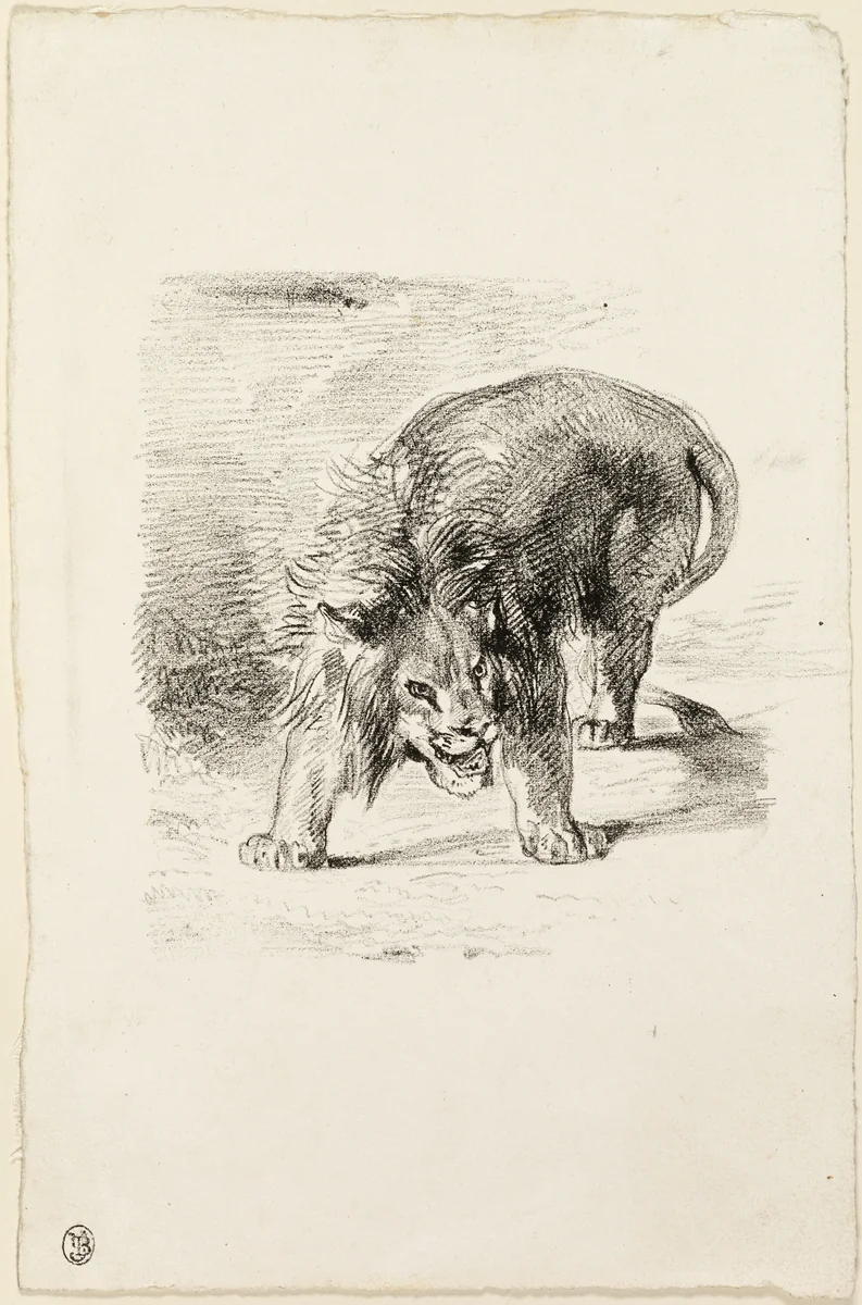 Standing Lion by Eugène Delacroix, print, 1833