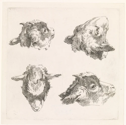 Vier geitenkoppen by Barend Hendrik Thier, print, 1755-1811