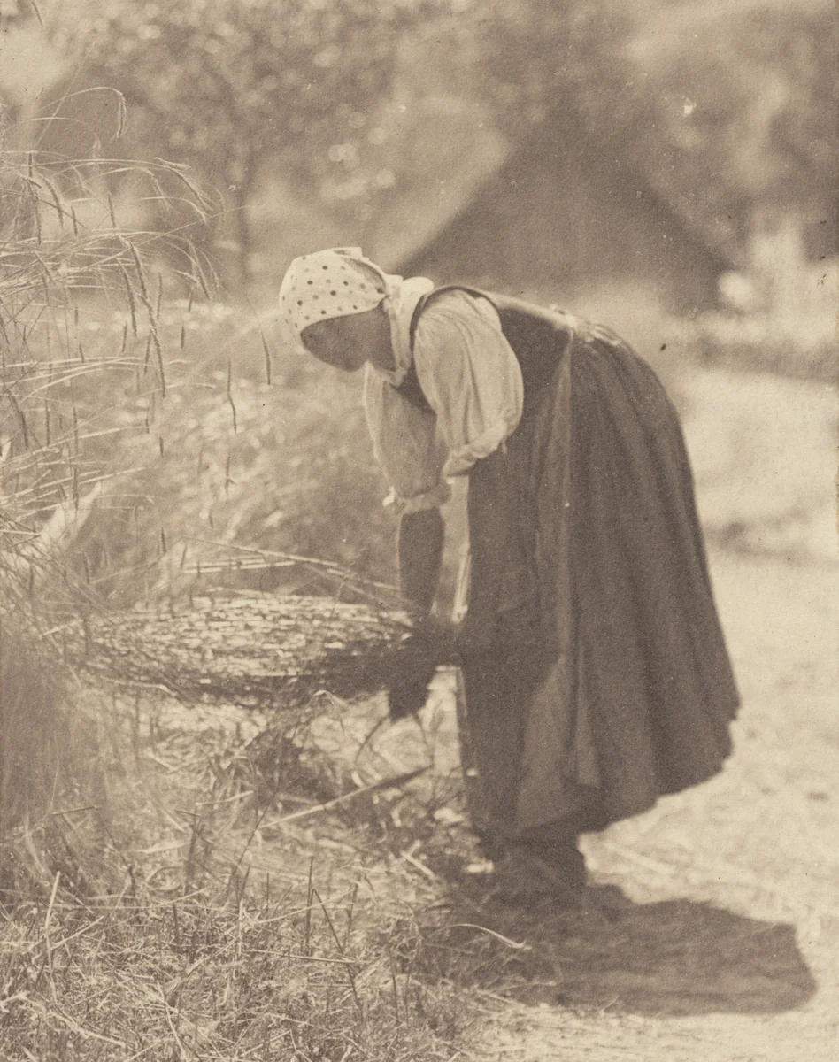 Interrupted by Alfred Stieglitz, photograph, 1894