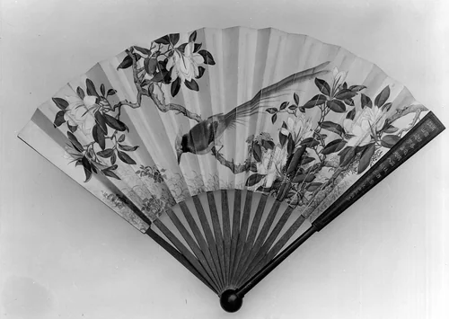 Fan by Giuseppe Castiglione (郎世寧), painting, 1700-1766