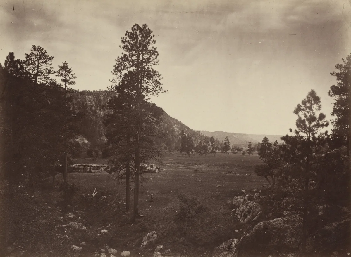 Cooley's Park, Sierra Blanca Range, Arizona by Timothy O'Sullivan, photograph, 1871