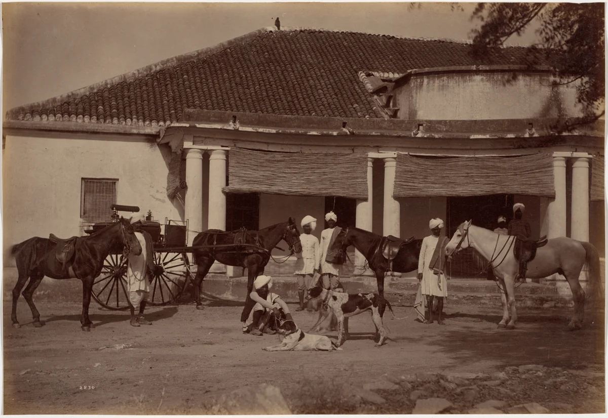 Mr. Brown's Horses, Jhansi by Raja Deen Dayal, photograph, 1887