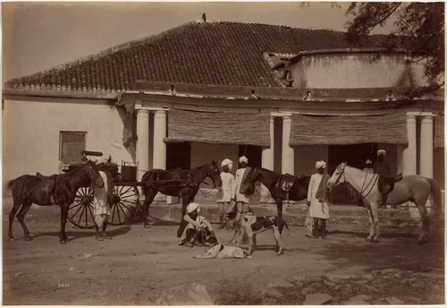 Mr. Brown's Horses, Jhansi by Raja Deen Dayal, photograph, 1887