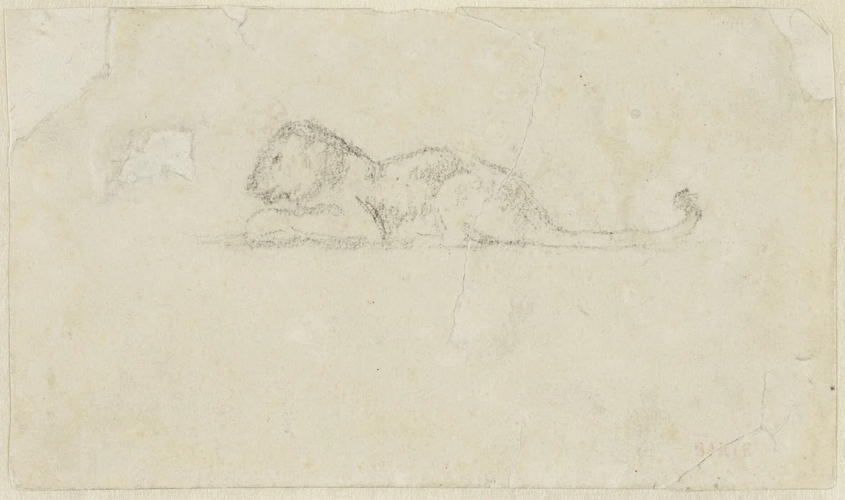 Seated Lioness by Antoine-Louis Barye, drawing, 1815-1875