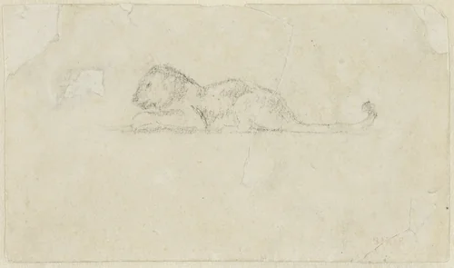 Seated Lioness by Antoine-Louis Barye, drawing, 1815-1875