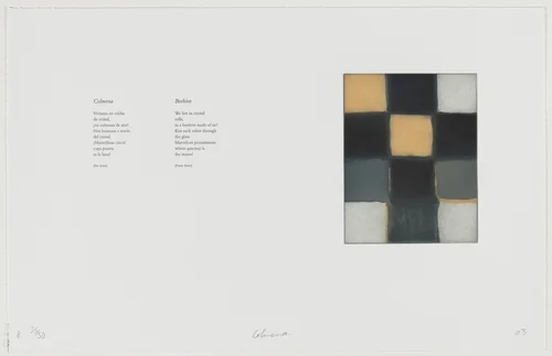 Colmena [Beehive] by Sean Scully, portfolio, 2003