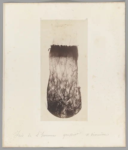 [Untitled] by Auguste-Adolphe Bertsch, photograph, 1853-1857