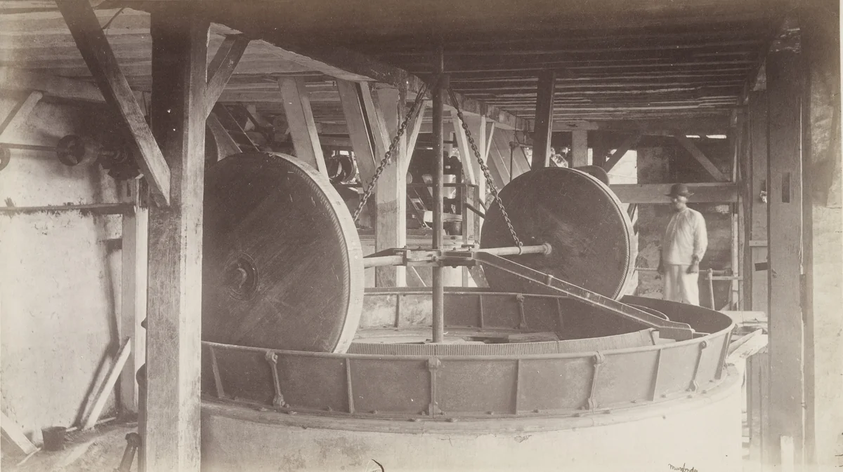 Machinery for Husking Coffee, Las Nubes by Eadweard Muybridge, photograph, 1875