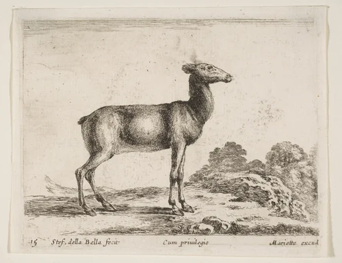 Doe, plate 15 from "Various Animals" (Diversi Animali) by Stefano della Bella, print, 1636-1646