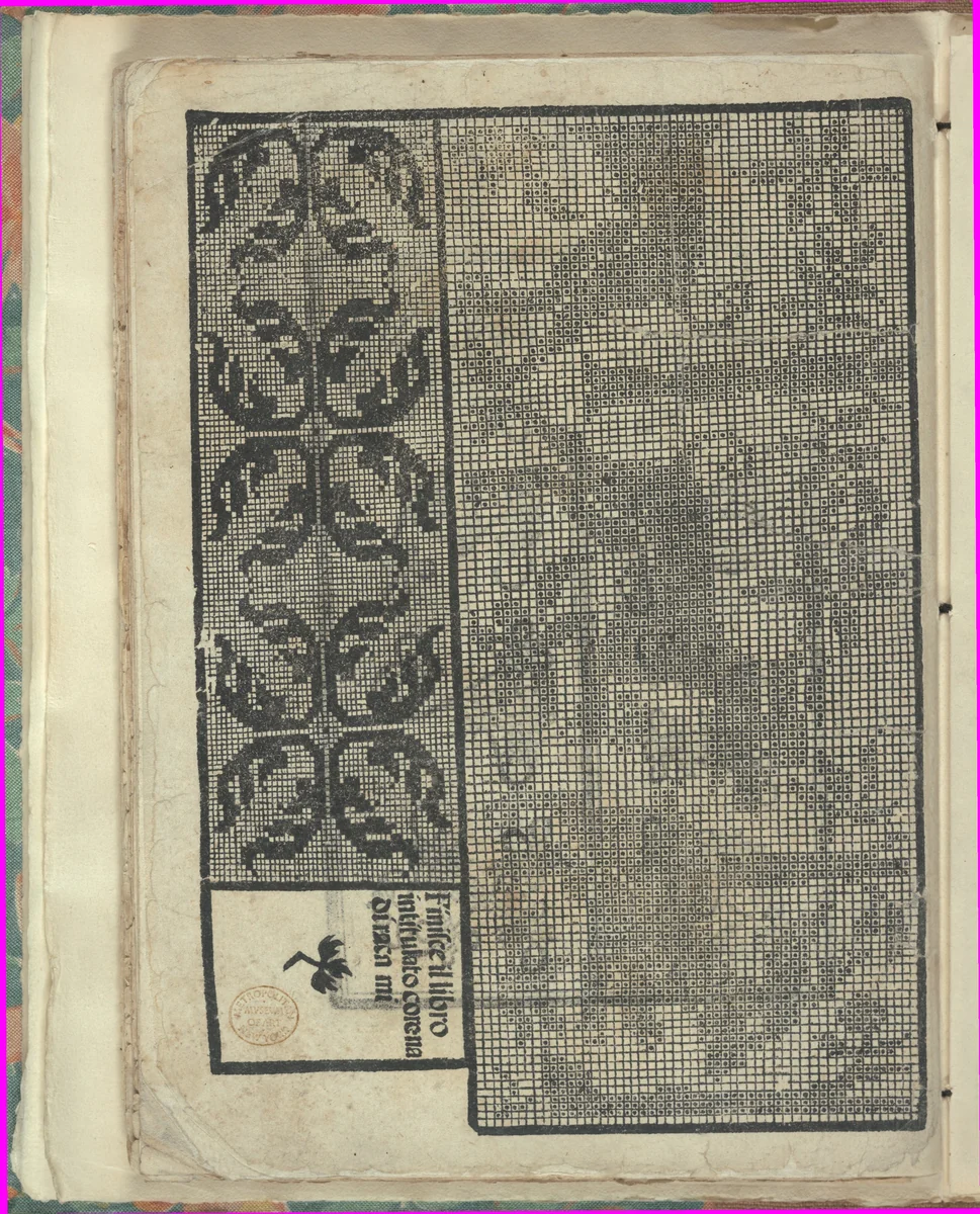 Opera Nova Universali intitulata Corona di racammi, page 38 (verso) by Giovanni Andrea Vavassore, book, 1530