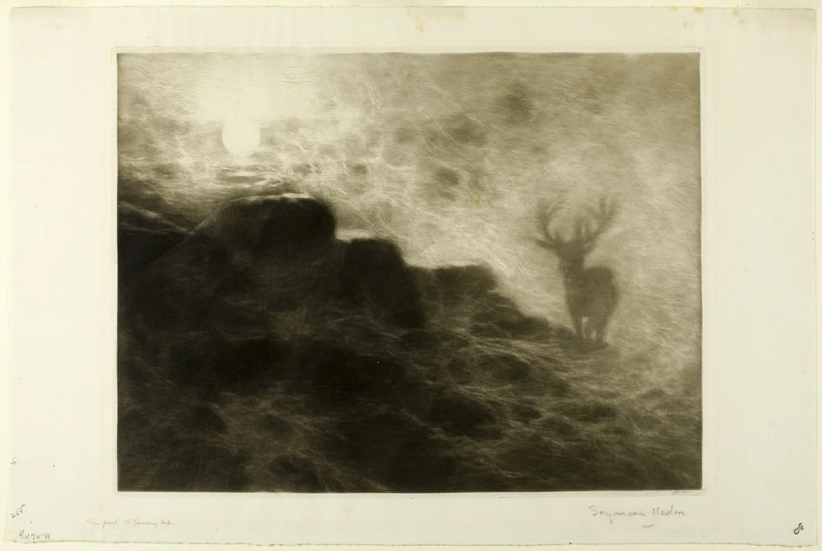 An Early Riser by Francis Seymour-Haden, print, 1897