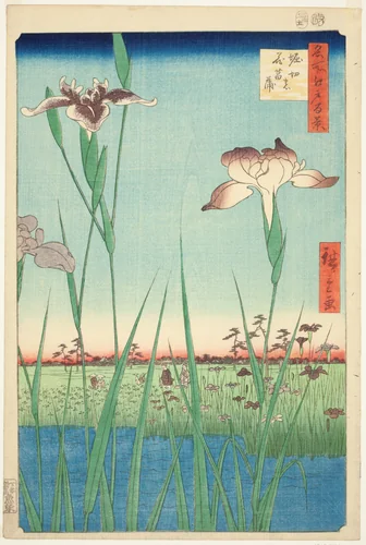 Irises at Horikiri (Horikiri no hanashobu), from the series "One Hundred Famous Views of Edo (Meisho Edo hyakkei)" by Utagawa Hiroshige (歌川広重), print, 1857