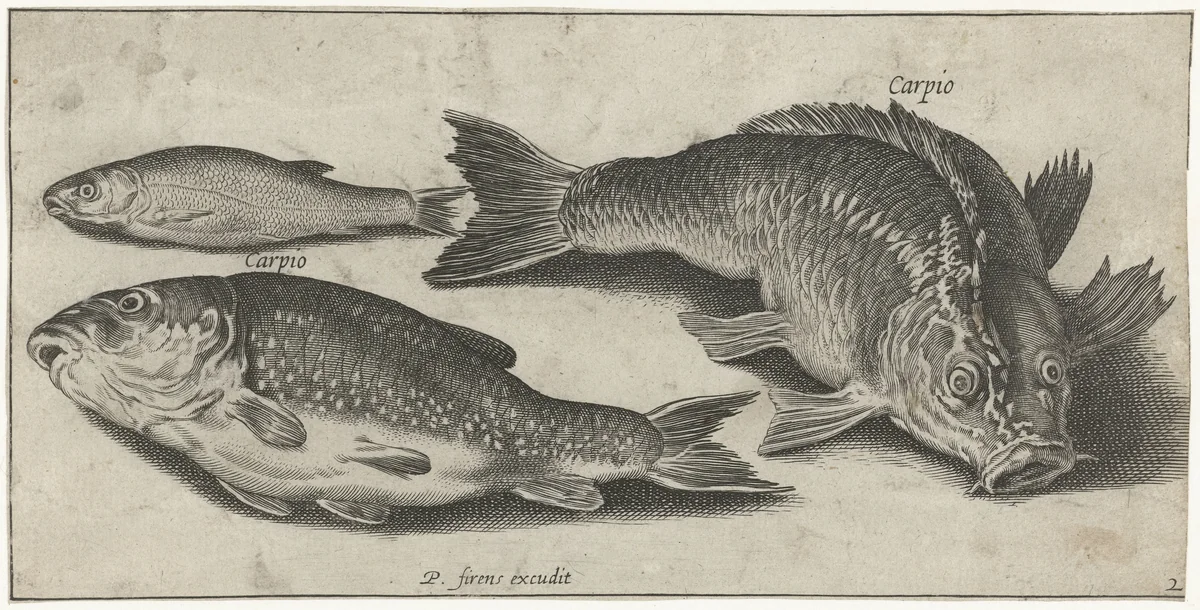 Drie karpers by Pierre Firens, print, 1600-1638