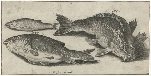Drie karpers by Pierre Firens, print, 1600-1638