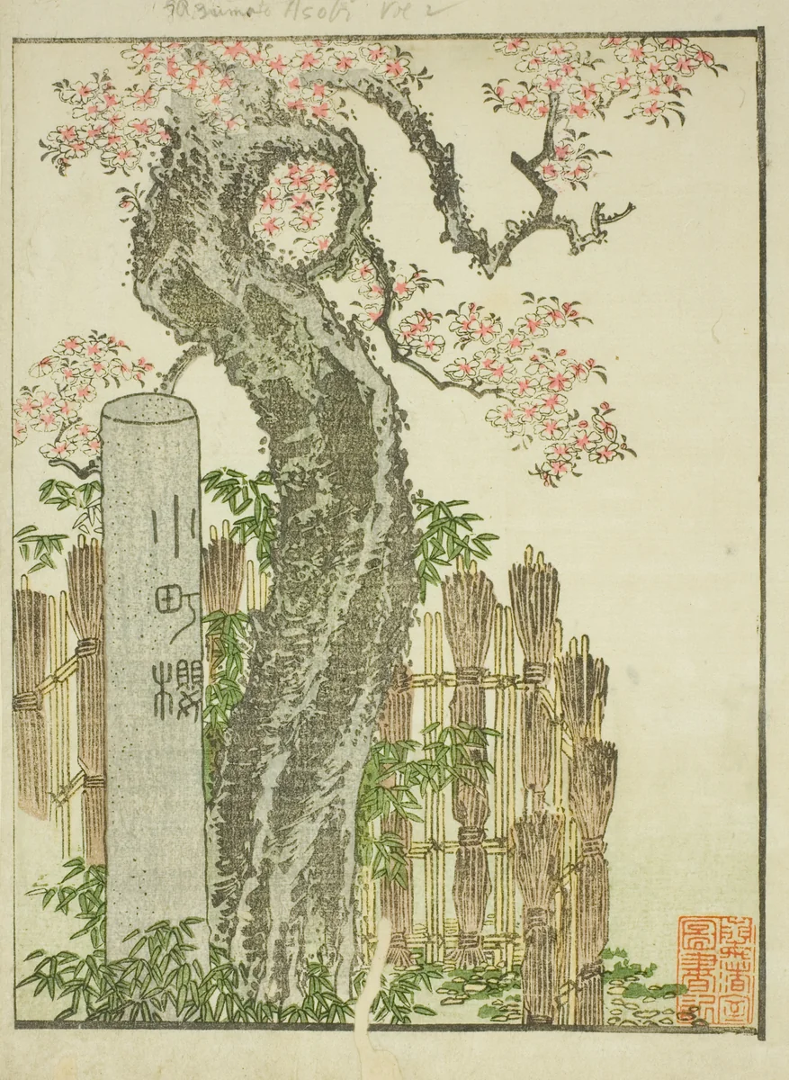 Komachi Cherry Tree (Komachi zakura), from the illustrated book "Picture Book of Amusements of the East (Ehon Azuma asobi)" by Katsushika Hokusai (葛飾 北斎), print, 1797-1807