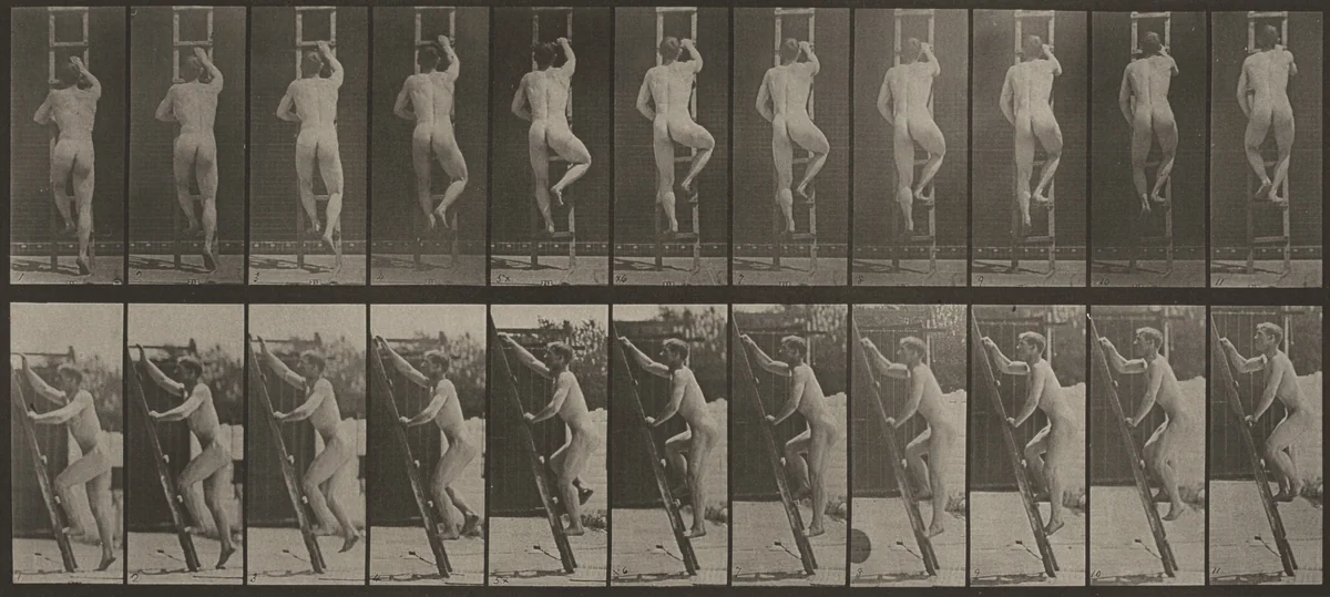 Plate Number 111. Ascending a ladder by Eadweard Muybridge, photograph, 1887
