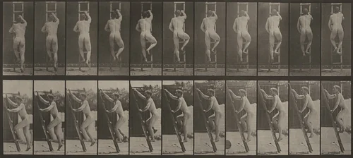 Plate Number 111. Ascending a ladder by Eadweard Muybridge, photograph, 1887