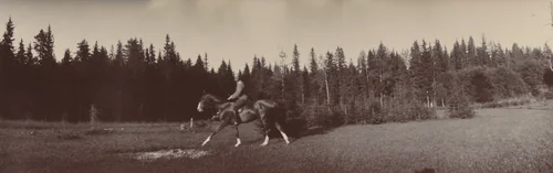 Grand Duke Mikhail Alexandrovich on Horseback, Gatchino by Unidentified Photographer, photograph, 1908