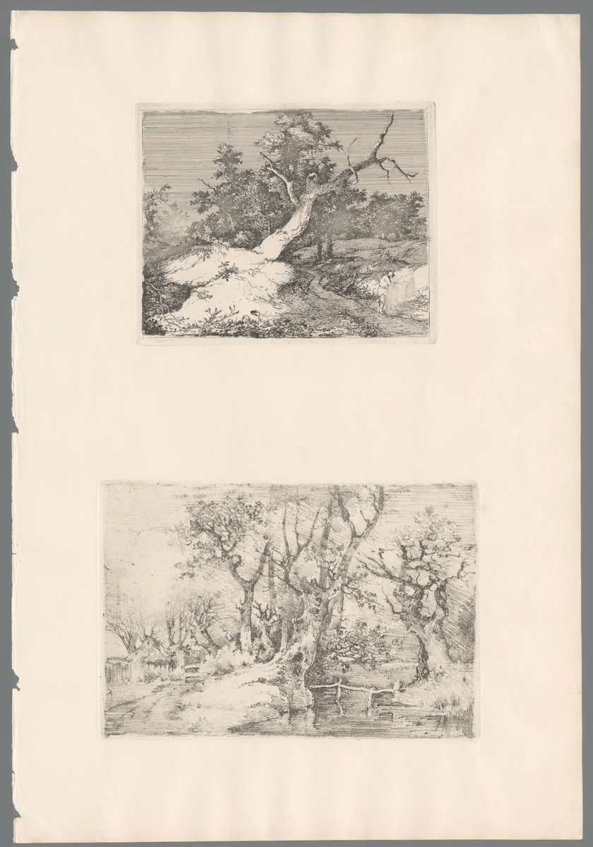 Poel voor een groep bomen by John Crome, print, 1834