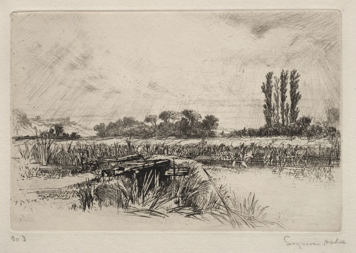 Water Meadow by Francis Seymour-Haden, print, 1859