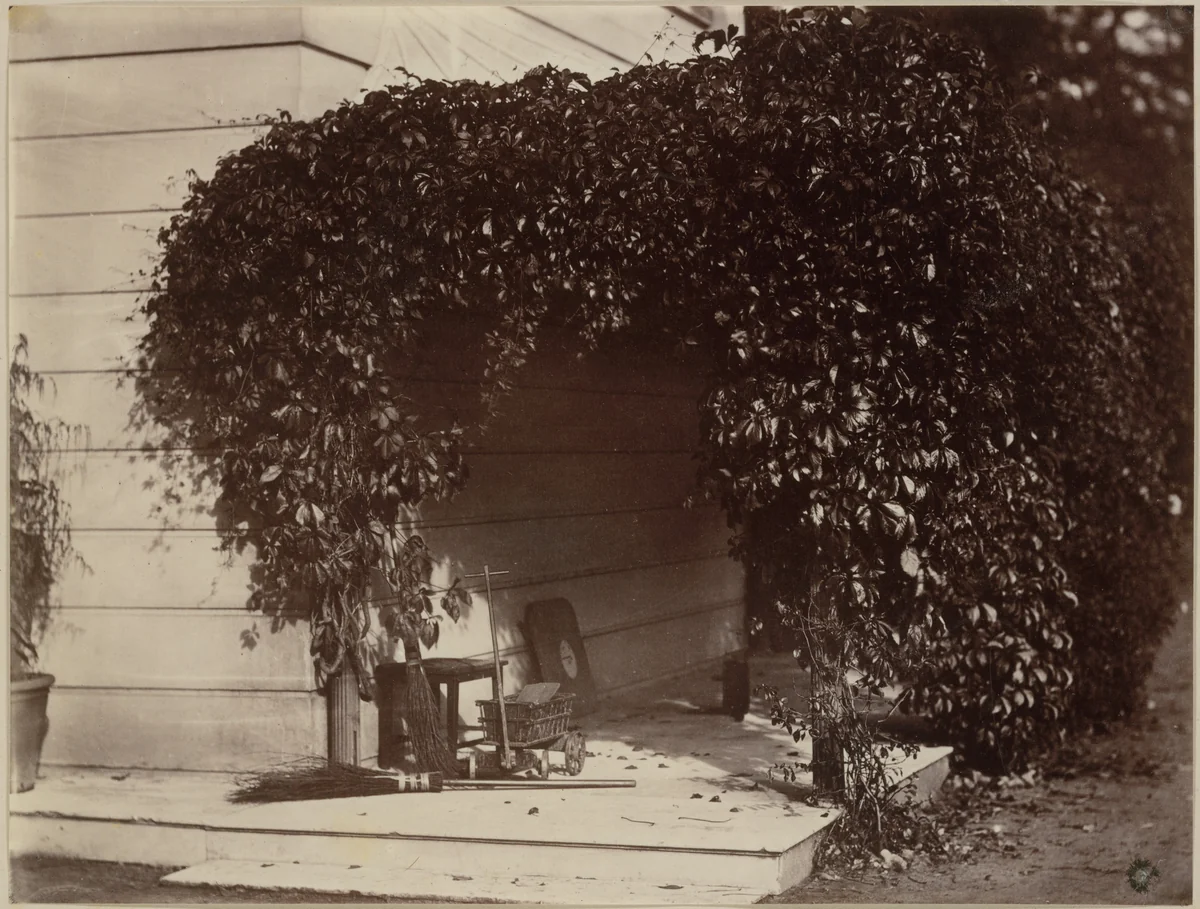 American Creeper, Blake House by Alfred Capel-Cure, photograph, 1860