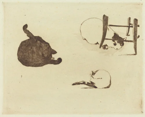 The Cats (Les chats) by Edouard Manet, print, 1869