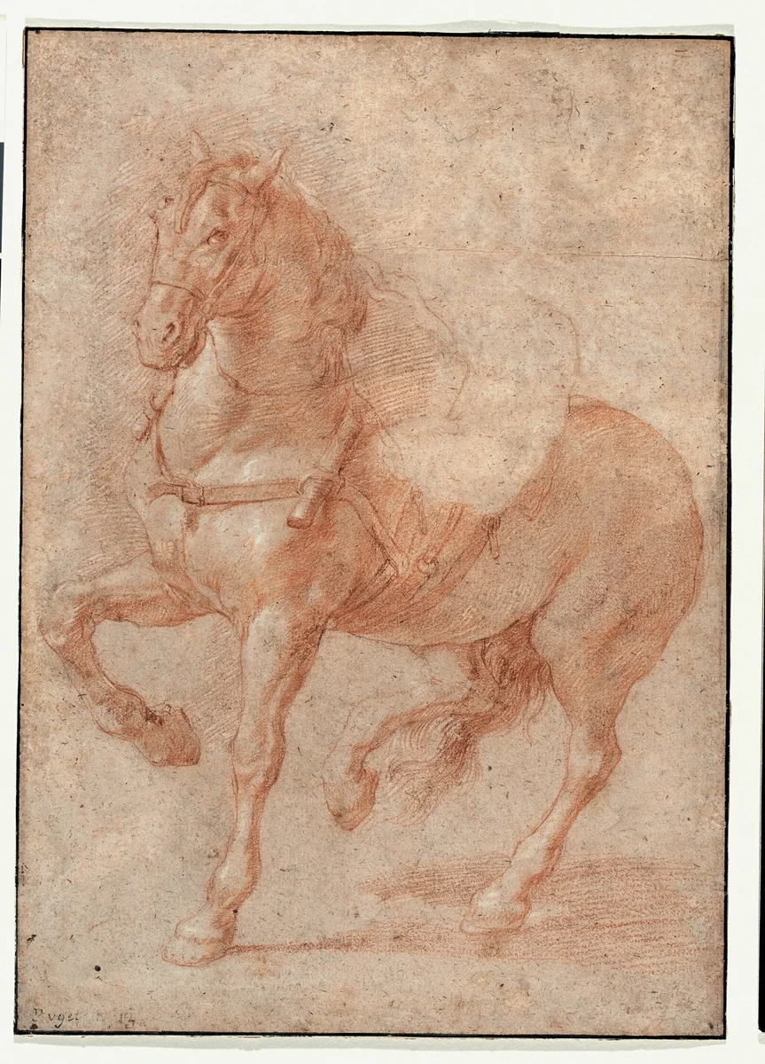 Study of Bucephalus for the Relief "Alexander and Diogenes" by Pierre Puget, drawing, 1675-1676