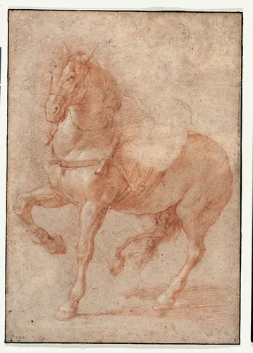 Study of Bucephalus for the Relief "Alexander and Diogenes" by Pierre Puget, drawing, 1675-1676