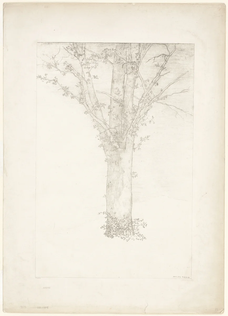 Tree by Odilon Redon, print, 1892