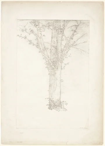 Tree by Odilon Redon, print, 1892