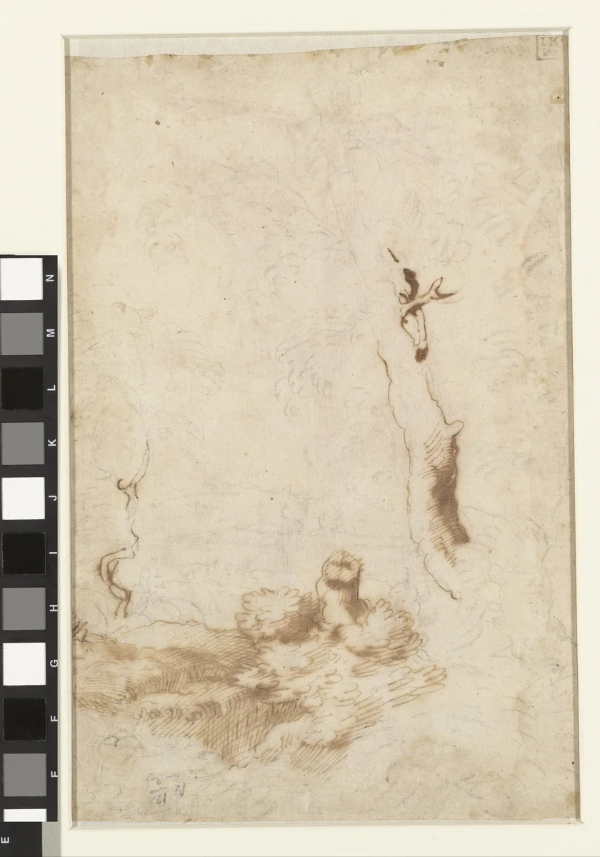 Boomstudie by anonymous, drawing, 1630-1670