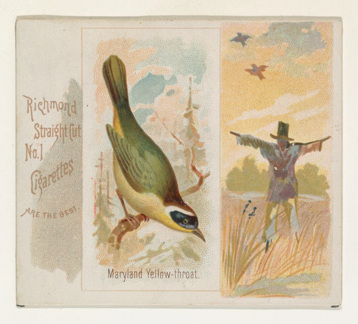 Maryland Yellow-throat, from the Song Birds of the World series (N42) for Allen & Ginter Cigarettes by Allen & Ginter, print, 1890