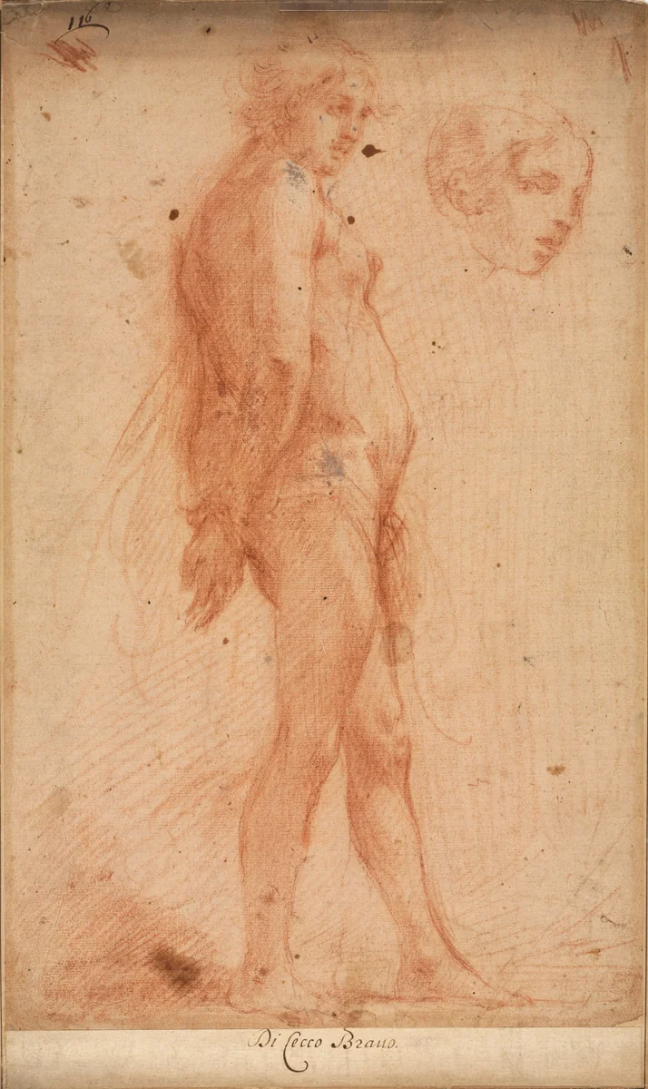 Study of a Standing Male Nude, with a Study of Head in Three-Quarter Profile by Cecco Bravo, drawing, 1635-1645