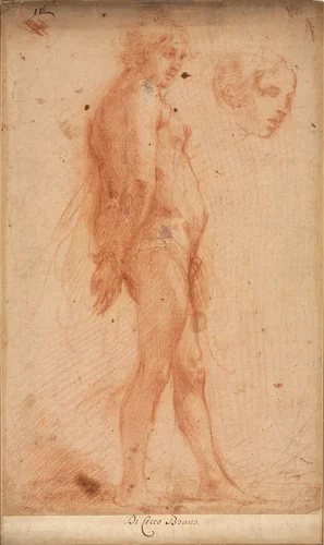 Study of a Standing Male Nude, with a Study of Head in Three-Quarter Profile by Cecco Bravo, drawing, 1635-1645