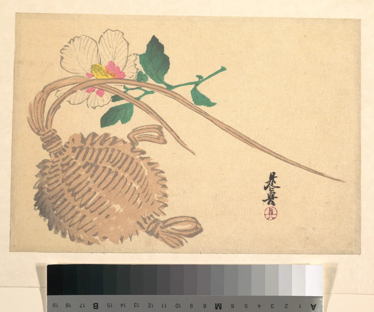 Straw Basket for Fish (?) and Mokuge Flower by Shibata Zeshin (柴田是真), print, 1865-1885