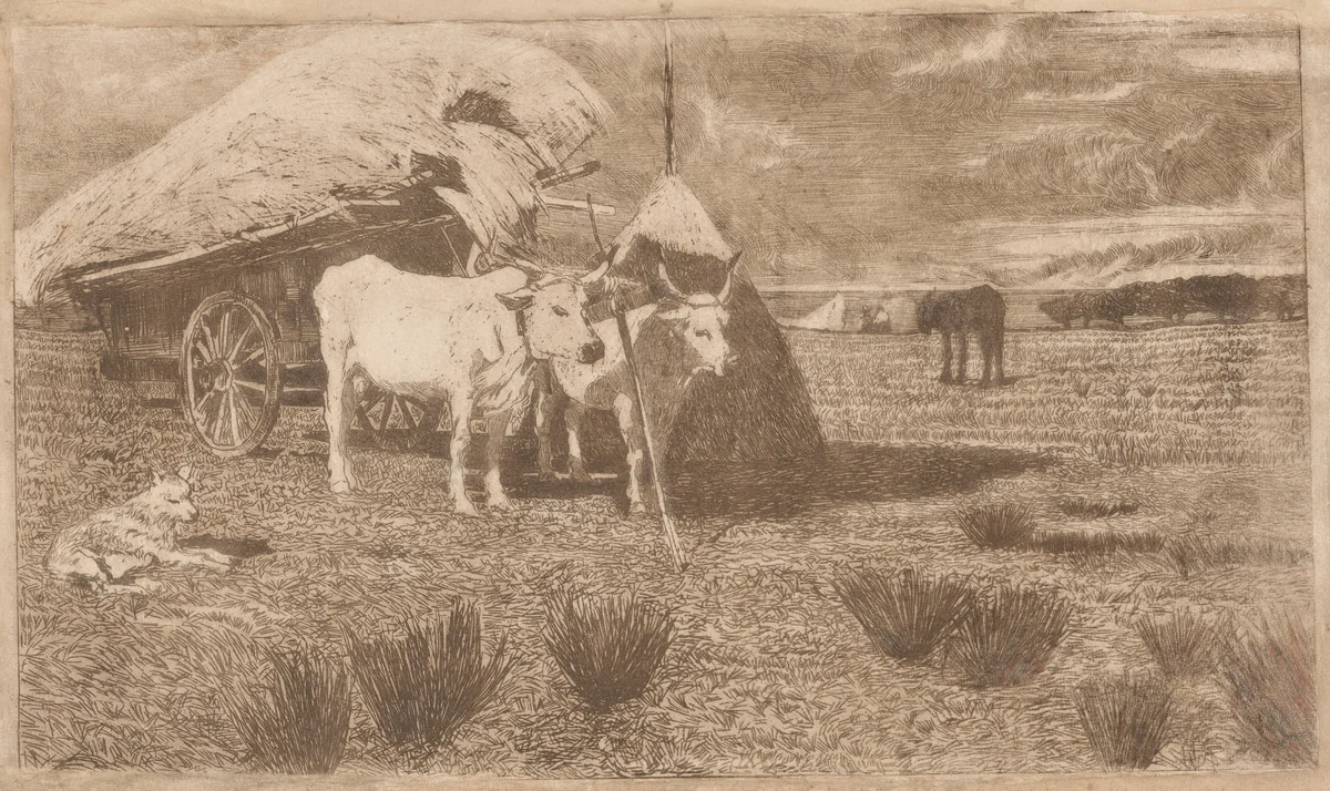 Oxen Yoked to a Cart (Maremma) (Bovi al carro (Maremma)) by Giovanni Fattori, print, 1886-1887