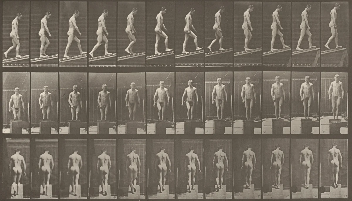 Plate Number 74. Ascending an incline by Eadweard Muybridge, photograph, 1887