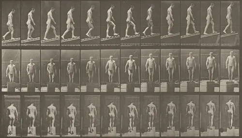 Plate Number 74. Ascending an incline by Eadweard Muybridge, photograph, 1887