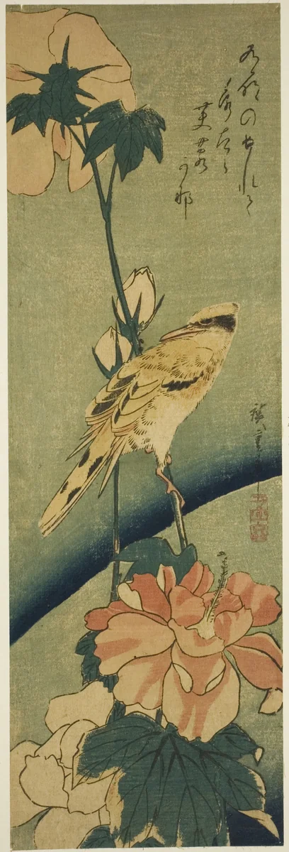Blacked-naped oriole on hibiscus by Utagawa Hiroshige (歌川広重), print, 1834-1836
