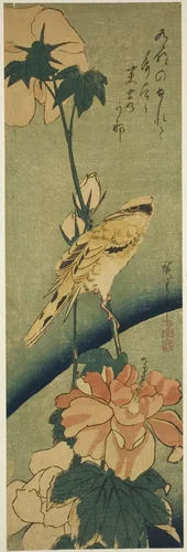 Blacked-naped oriole on hibiscus by Utagawa Hiroshige (歌川広重), print, 1834-1836