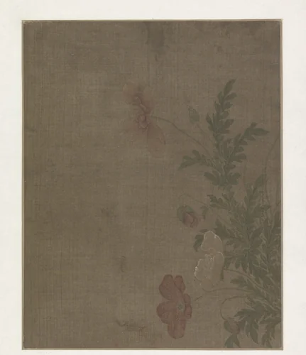 Papaverbloemen by anonymous, book, 1368-1644