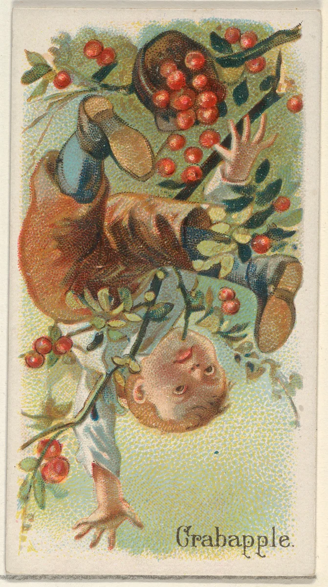 Crabapple, from the Fruits series (N12) for Allen & Ginter Cigarettes Brands by Allen & Ginter, print, 1891